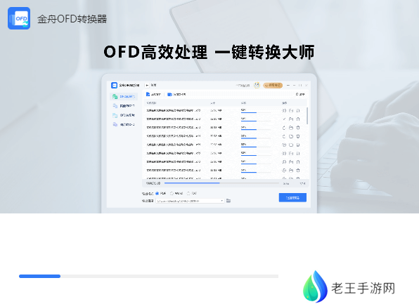 金舟OFD转换器