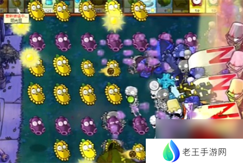 PVZ杂交版益智模式忧郁咖啡豆1要怎么过