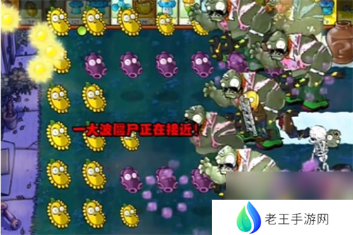 PVZ杂交版益智模式忧郁咖啡豆1要怎么过